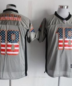 Nike Broncos #18 Peyton Manning Grey Men's Stitched NFL Elite USA Flag Fashion Jersey