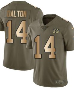 Nike Cincinnati Bengals #14 Andy Dalton Olive/Gold Men's Stitched NFL Limited 2017 Salute To Service Jersey Men's