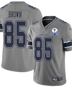 Nike Dallas Cowboys #85 Noah Brown Gray Men's Stitched With Established In 1960 Patch NFL Limited Inverted Legend Jersey Men's