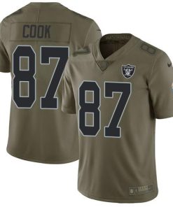 Nike Las Vegas Raiders #87 Jared Cook Olive Men's Stitched NFL Limited 2017 Salute To Service Jersey Men's