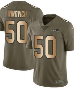 Nike New England Patriots #50 Chase Winovich Olive/Gold Men's Stitched NFL Limited 2017 Salute To Service Jersey Men's
