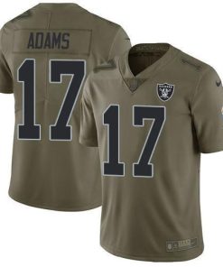 Nike Raiders #17 Davante Adams Olive Men's Stitched NFL Limited 2017 Salute To Service Jersey