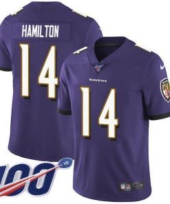 Nike Ravens #14 Kyle Hamilton Purple Team Color Men's Stitched NFL 100th Season Vapor Untouchable Limited Jersey