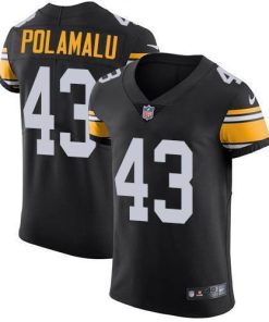 Nike Steelers #43 Troy Polamalu Black Alternate Men's Stitched NFL Vapor Untouchable Elite Jersey