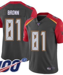 Nike Tampa Bay Buccaneers #81 Antonio Brown Gray Men's Stitched NFL Limited Inverted Legend 100th Season Jersey Men's
