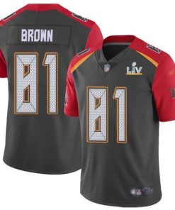 Nike Tampa Bay Buccaneers #81 Antonio Brown Gray Men's Super Bowl LV Bound Stitched NFL Limited Inverted Legend Jersey Men's