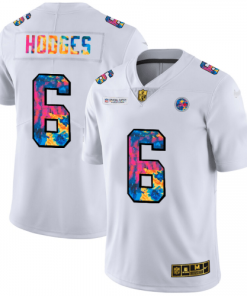 Pittsburgh Pittsburgh Steelers #6 Devlin Hodges Men's White Nike Multi-Color 2020 NFL Crucial Catch Limited NFL Jersey Men's