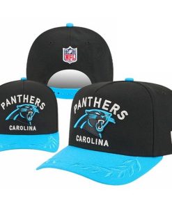 Carolina Panthers Adjustable Hat