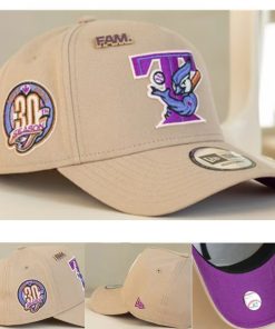 Toronto Blue Jays Adjustable Hat