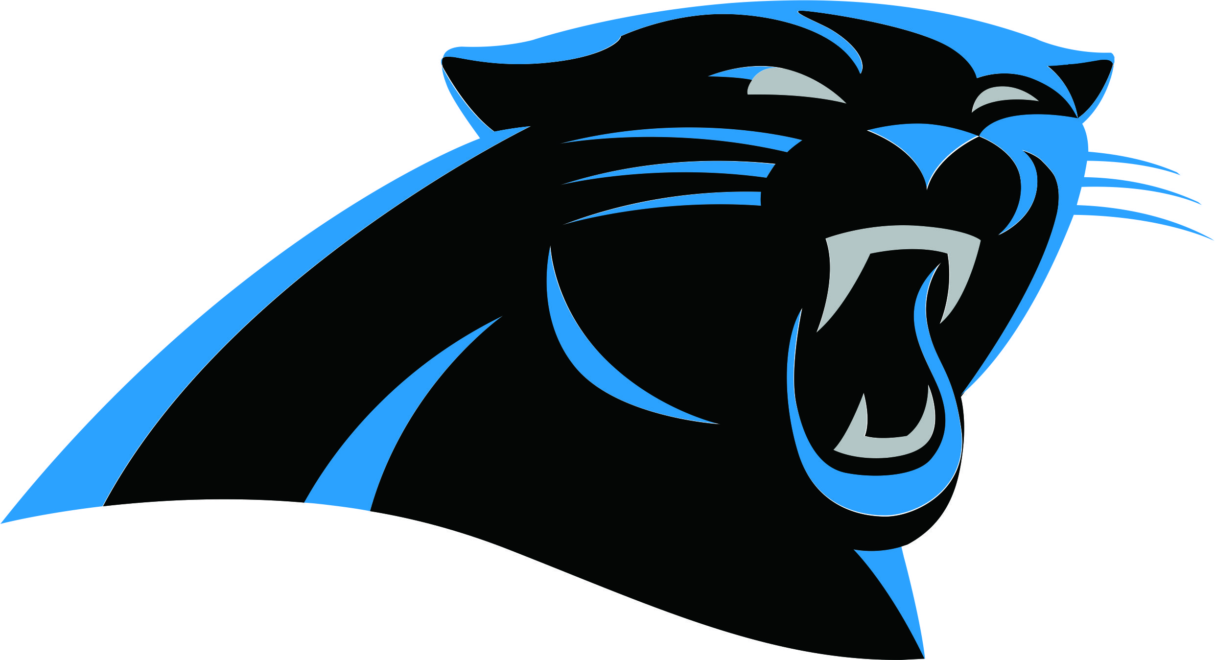 Carolina Panthers
